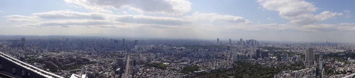 Tokyo skyline wide-view